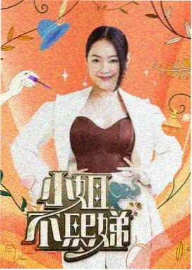 美国都市情感剧 西雅图不眠夜